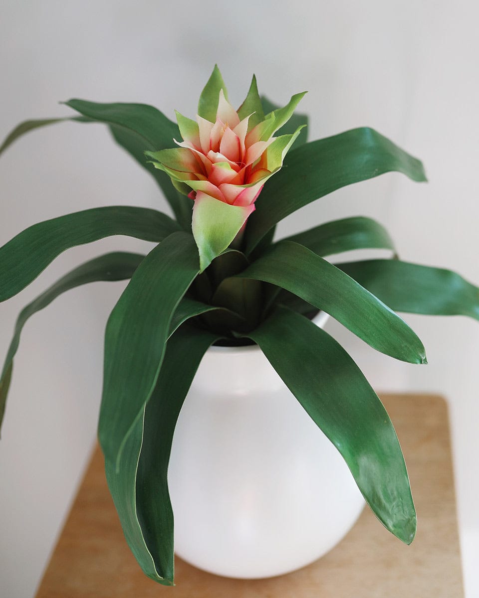 Artificial Bromeliad House Plant in Pink