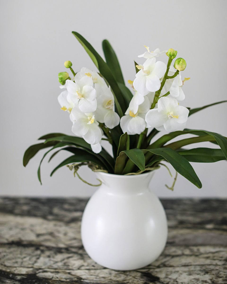 White Faux Vanda Orchid Plant Styled in Ceramic Vase