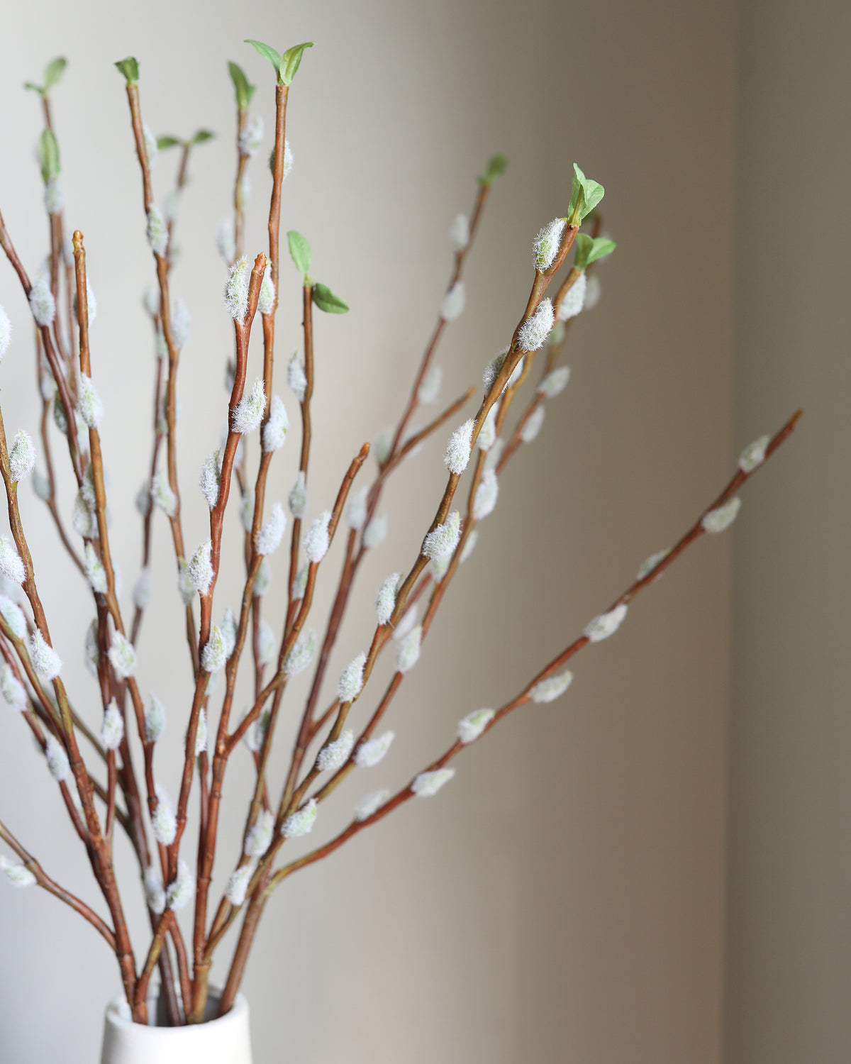 Artificial Pussy WiIlow Branches in a vase