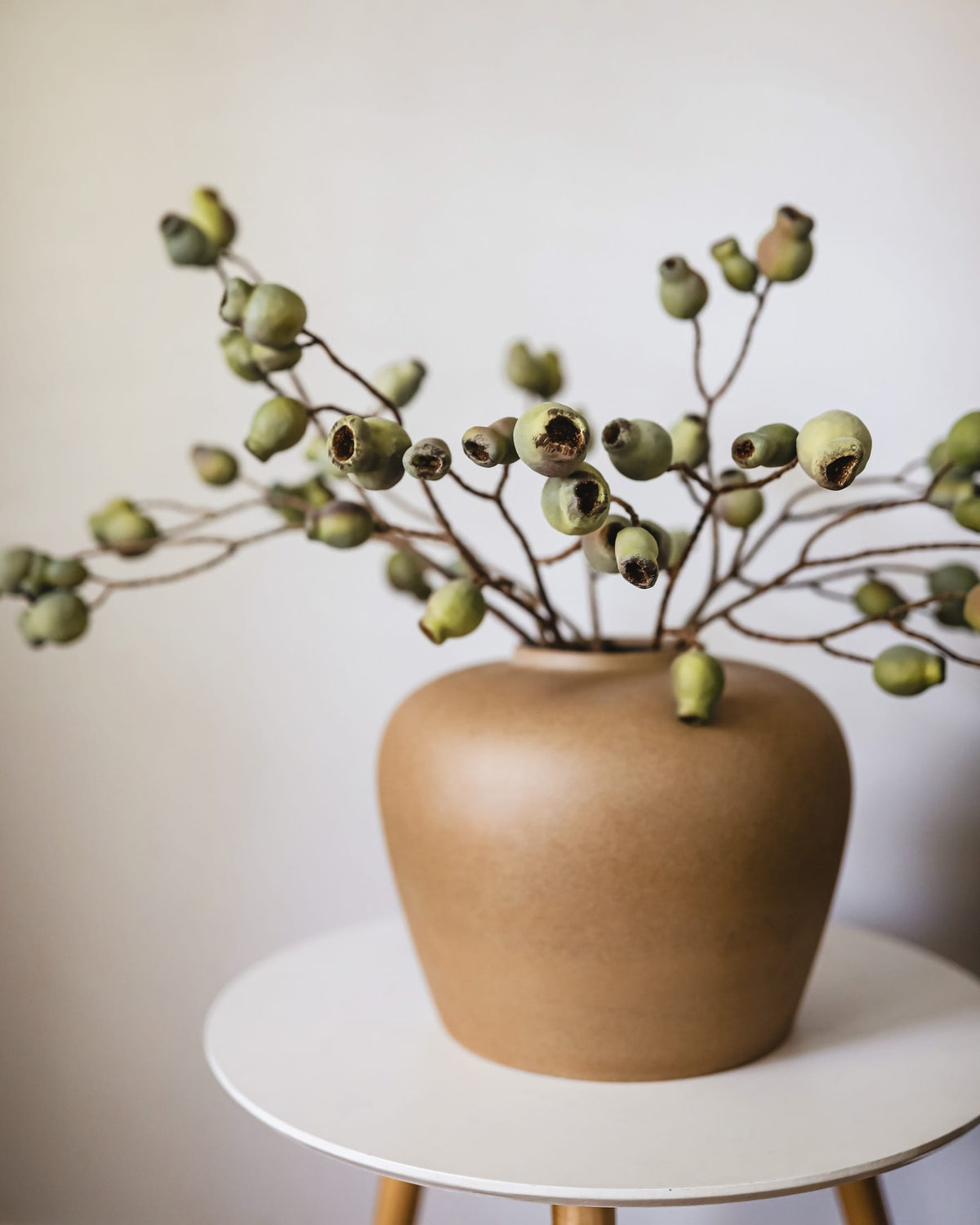 Vase with faux green Eucalyptus Pods on a white surface