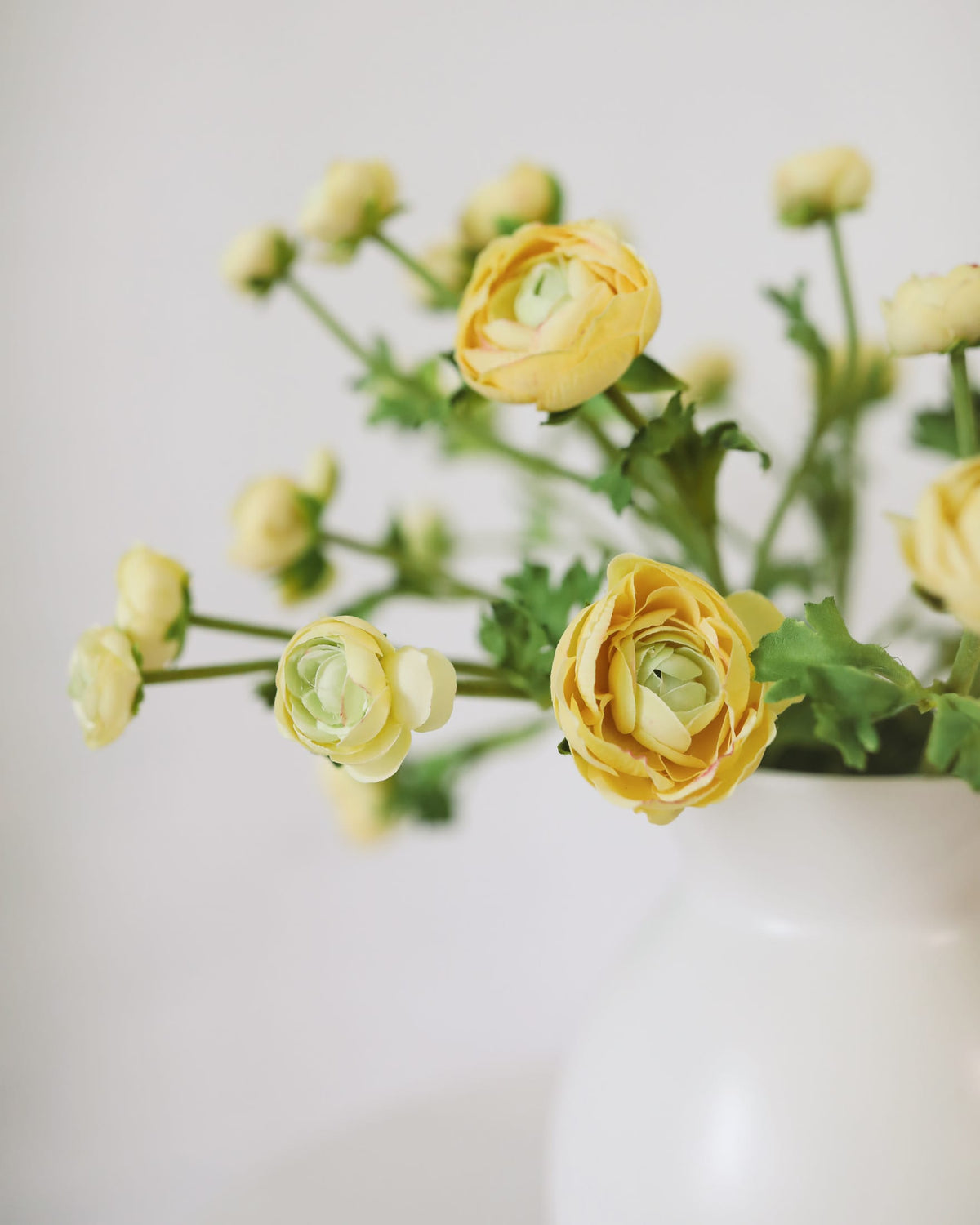 Yellow faux ranunculus flowers with green stems and leaves arranged in a white ceramic vase against a soft, light gray background.