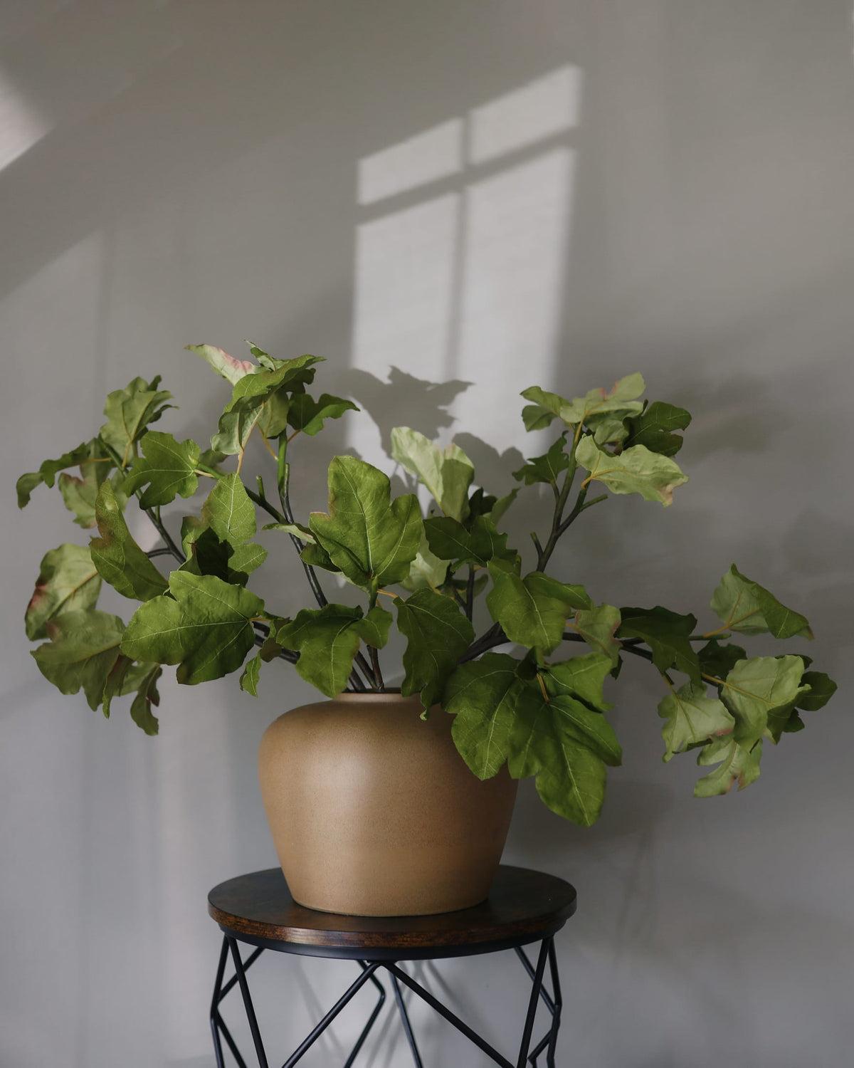 Artificial Fig Leave Branches in a vase 