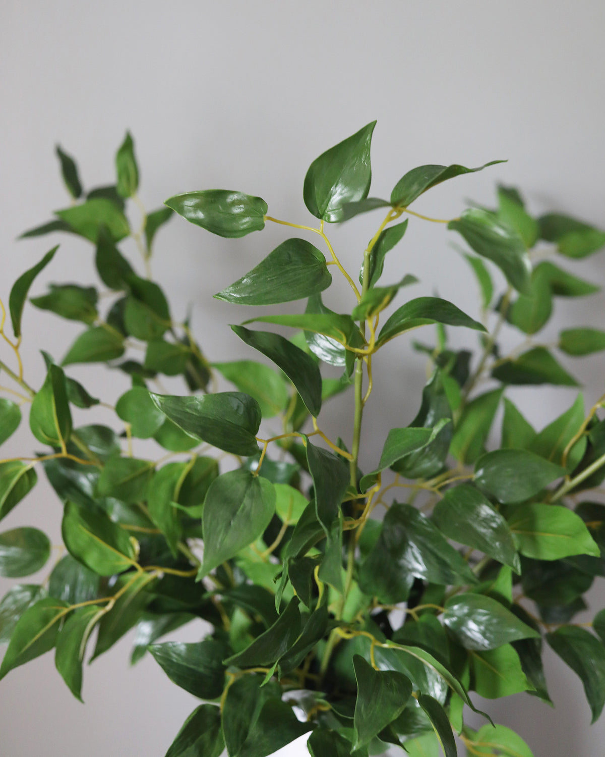 A green leafy Artificial Smilax with glossy, heart-shaped leaves and thin yellow stems, photographed against a plain light gray background.