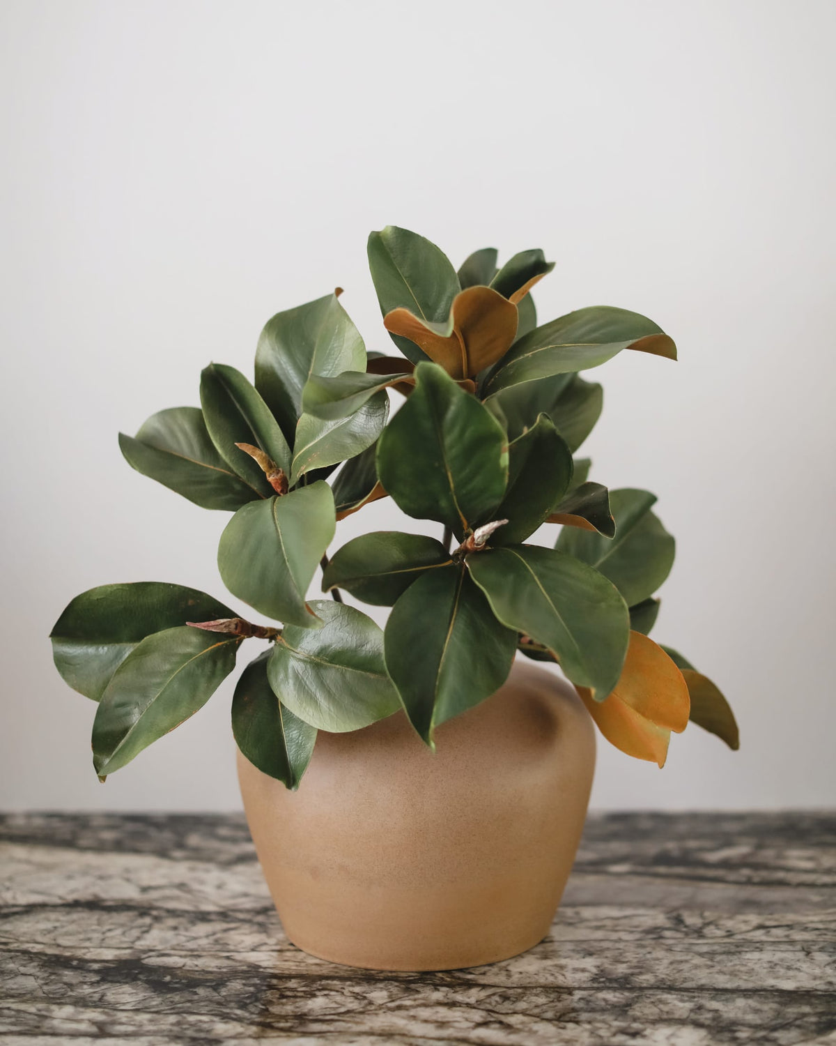 A potted magnolia faux plant with glossy dark green leaves and a few warm tan-brown leaves, set in a matte beige ceramic pot on a rustic wooden surface against a plain light gray wall.