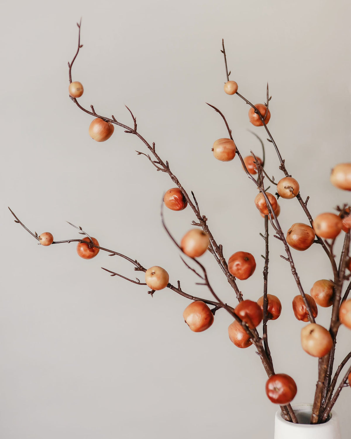 Fake Fruits Fall Apples