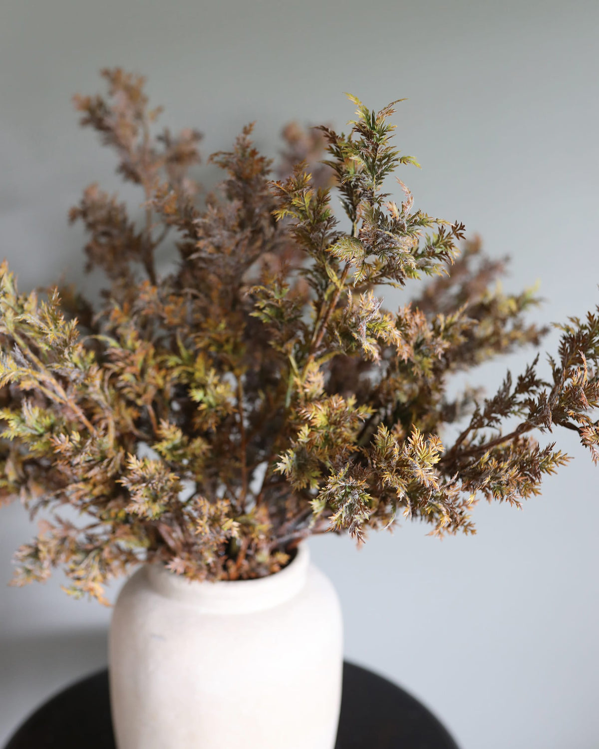 Details of Fall Rosemary Foliage