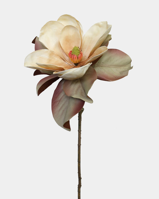 Brown Beige Faux Magnolia Flower and Leaves