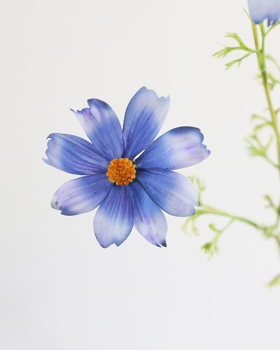 Artificial Cosmos Blossom in Blue