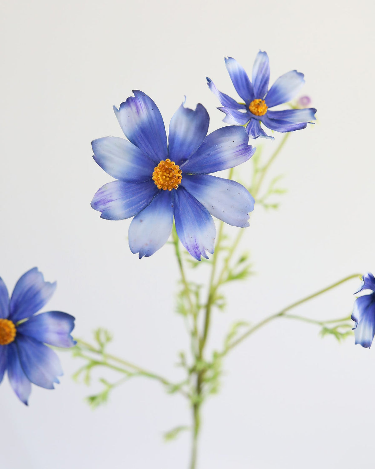 Artificial Real Touch Blue Cosmos close up 