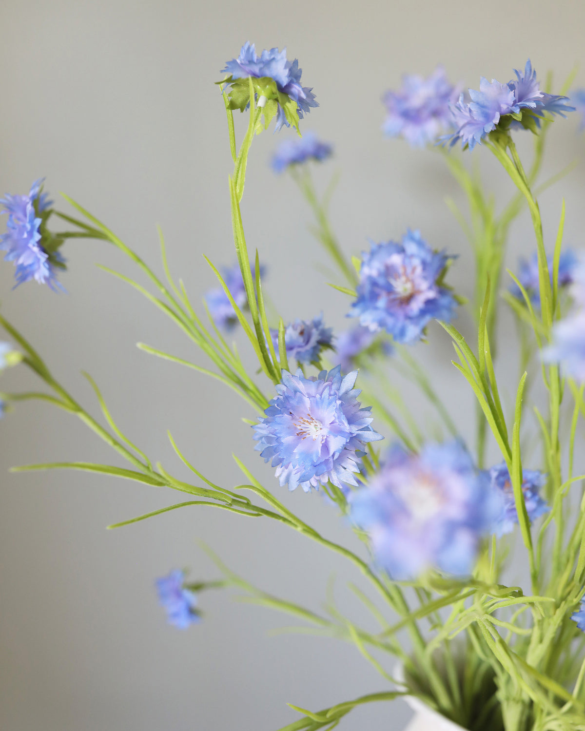 Artificial Blue Corn flower wildflowers close up 