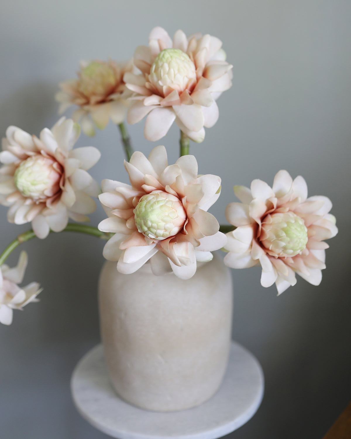 Artificial Pink Waratah Proteas in a vase