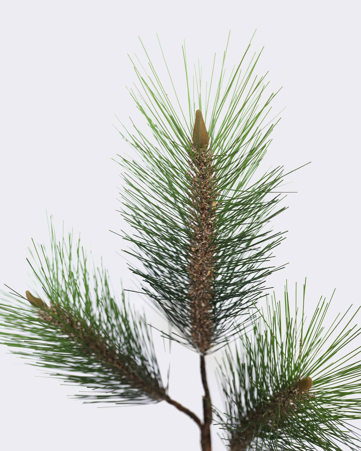 Artificial Needle Pine Holiday Botanicals