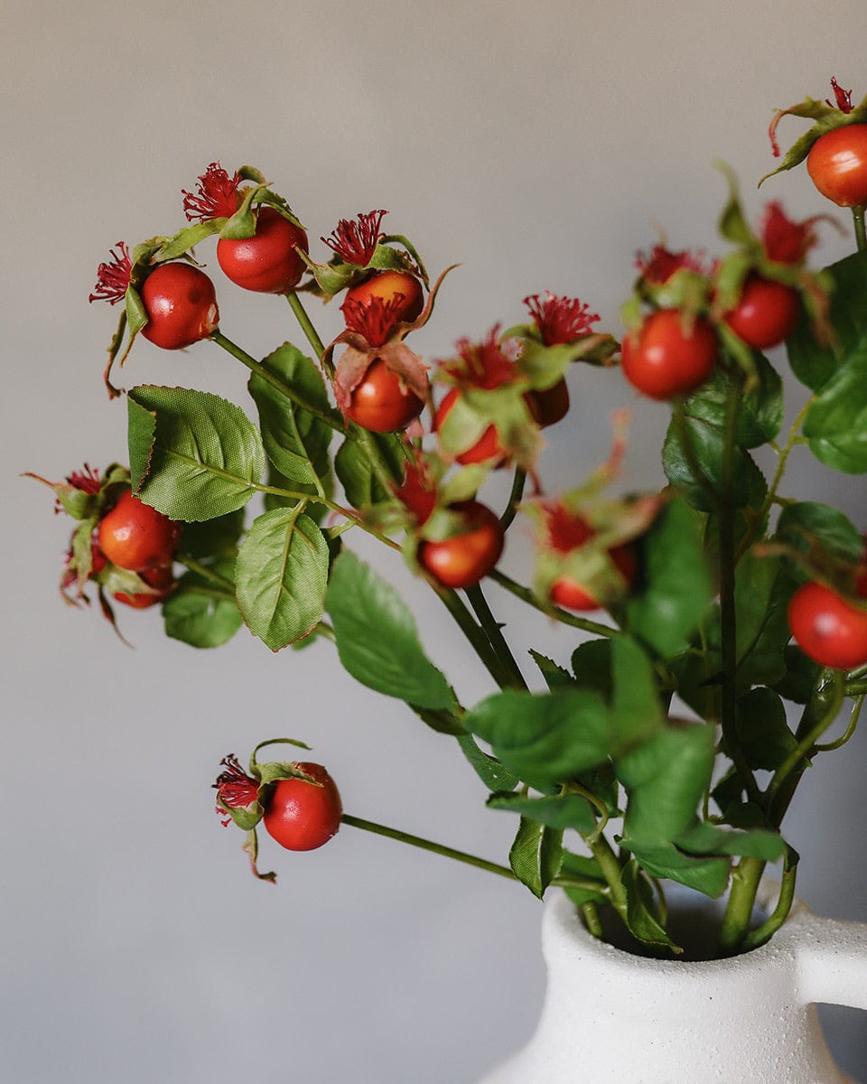 Detailed Shot of Fake Orange Rose Hips