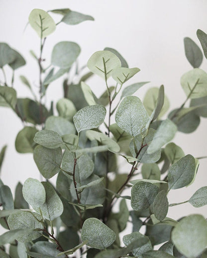 Details of Realistic Faux Eucalyptus Leaves