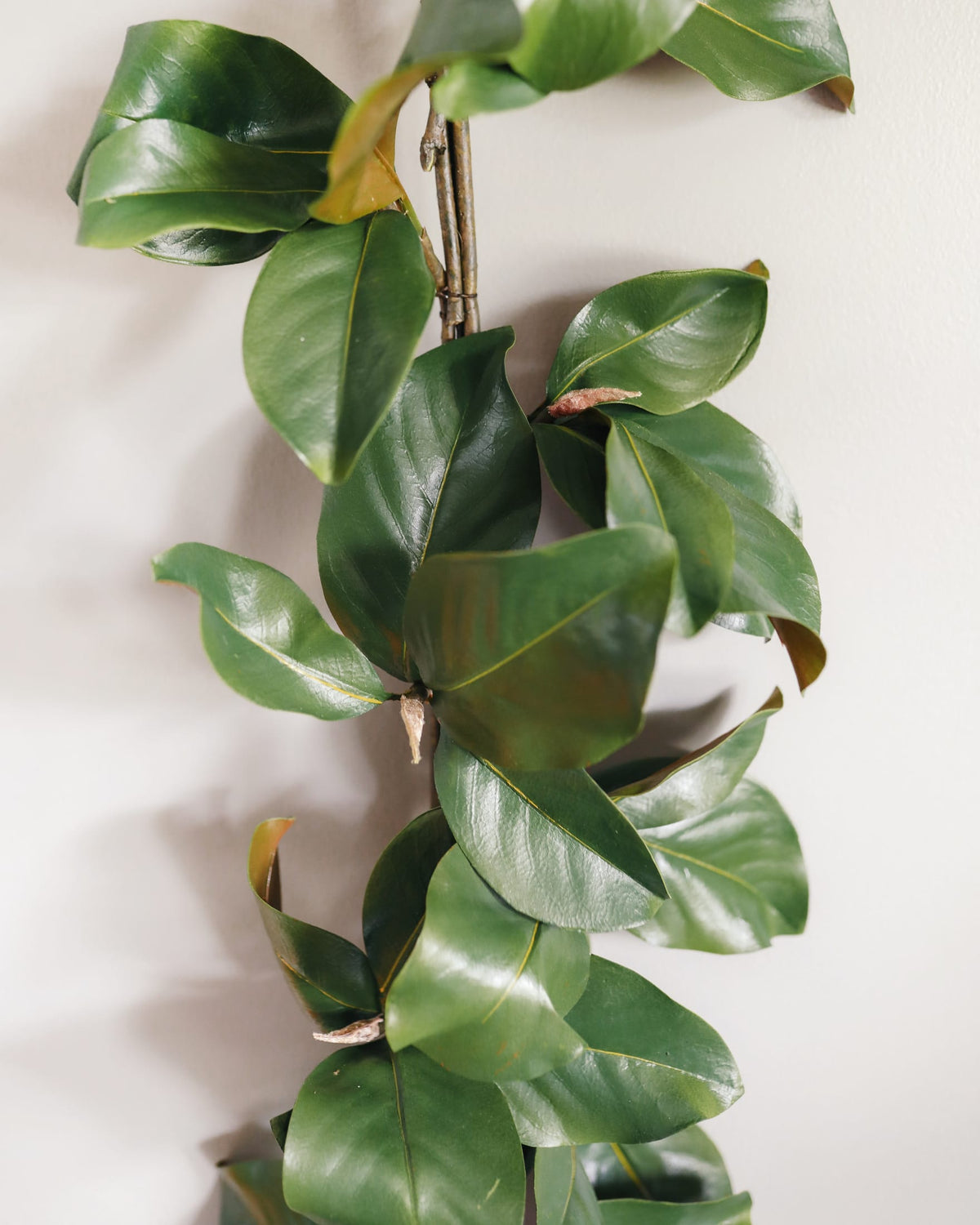 Close Up Image of Fake Magnolia Leaf Garland