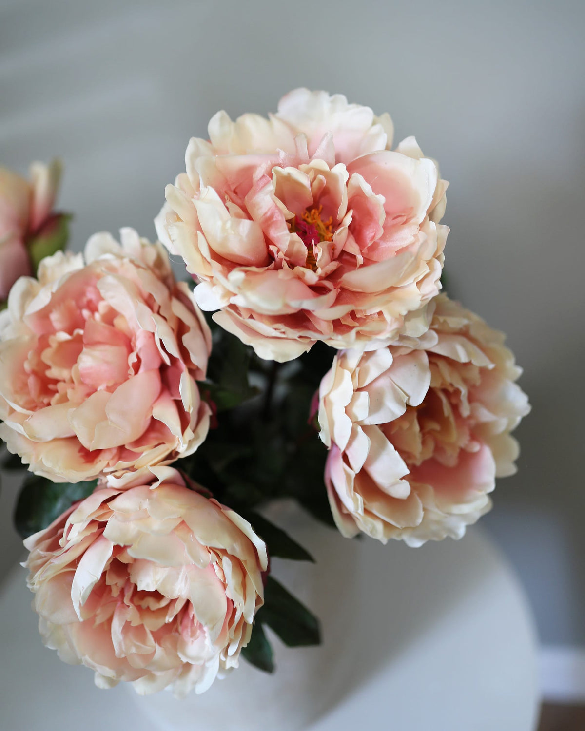 Peach Pink Open Real Touch Peonies in a vase