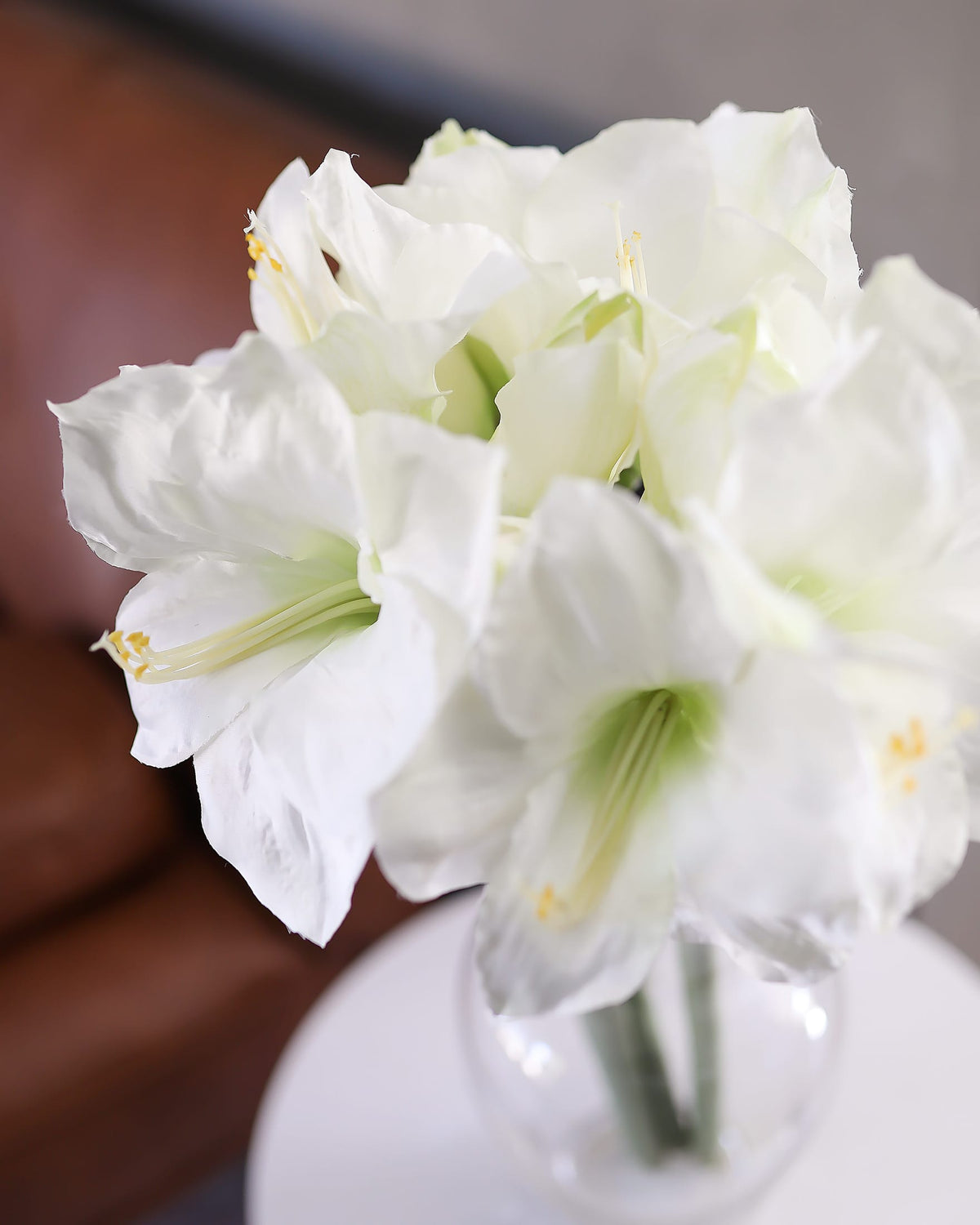 White Faux Amaryllis stem sclose up