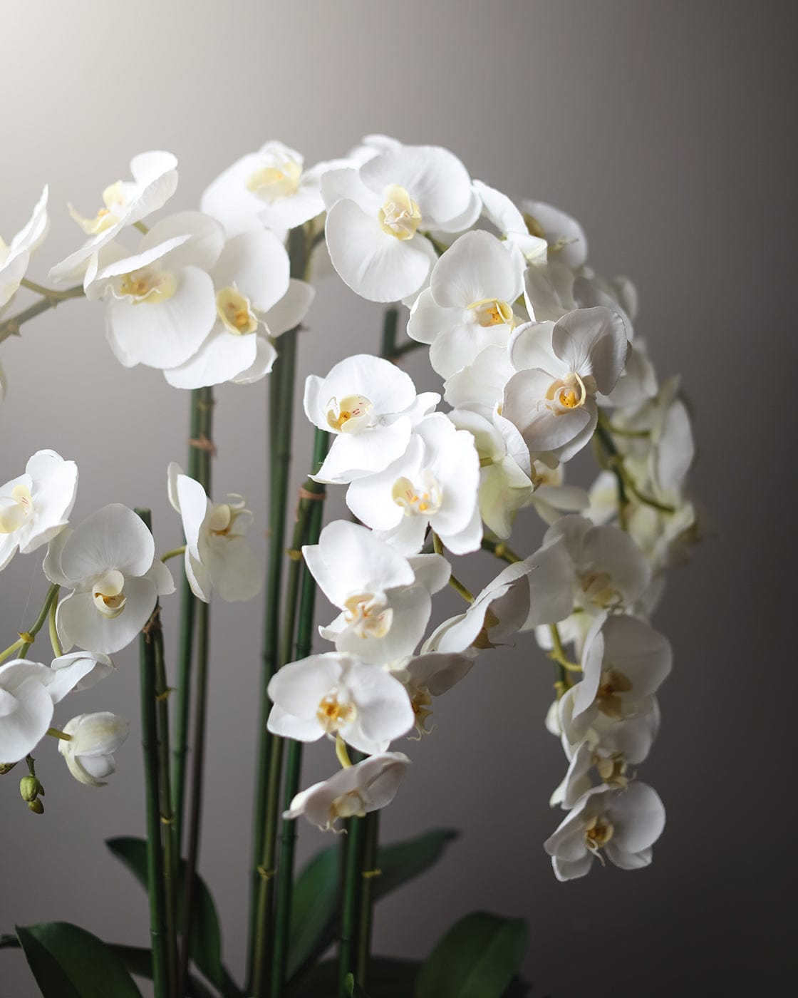 Premium Faux Flowers Artificial White Orchids