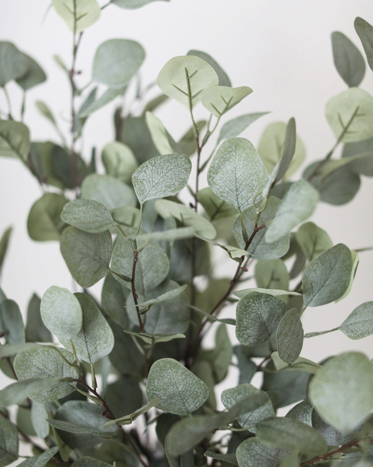 Details of Realistic Faux Eucalyptus Leaves
