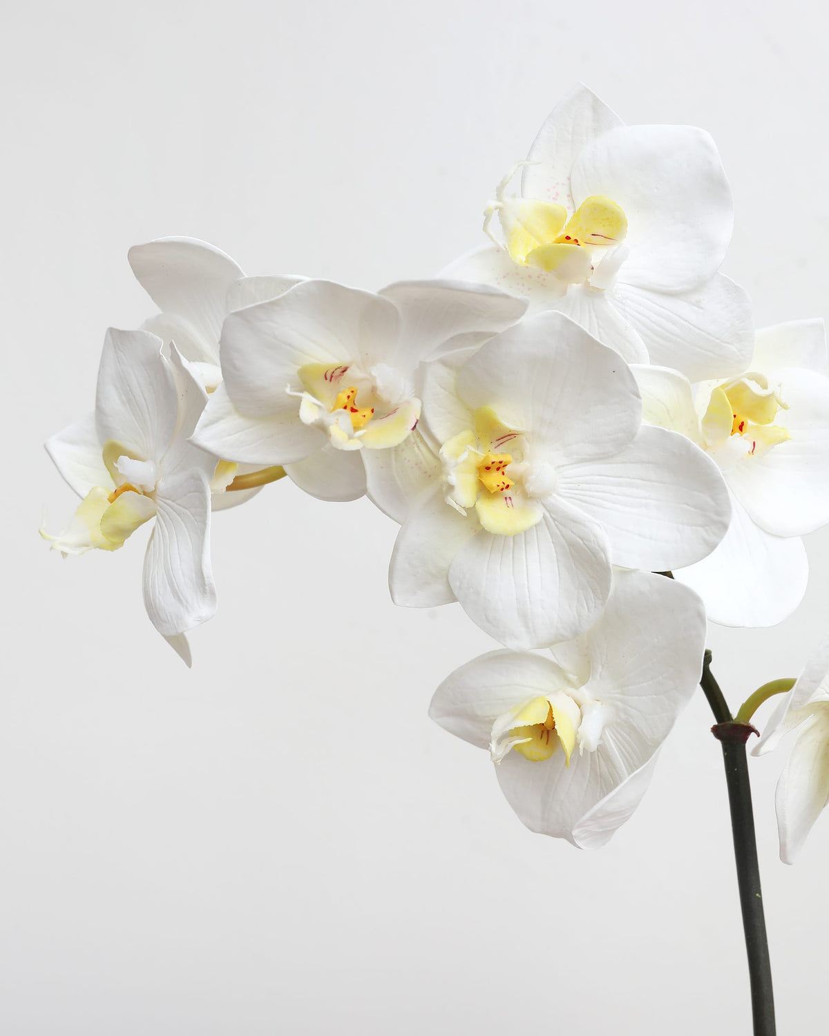 Close-up of artificial white Phalaenopsis orchid blooms showing lifelike petal detail.