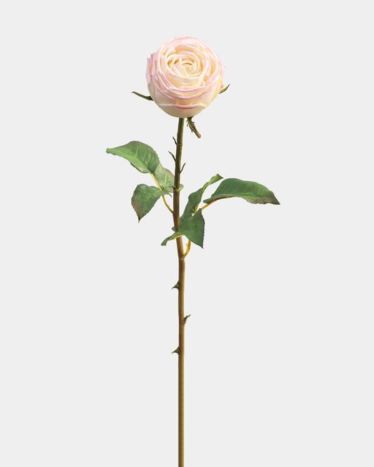 Real Touch Cream Pink English Rose Flower