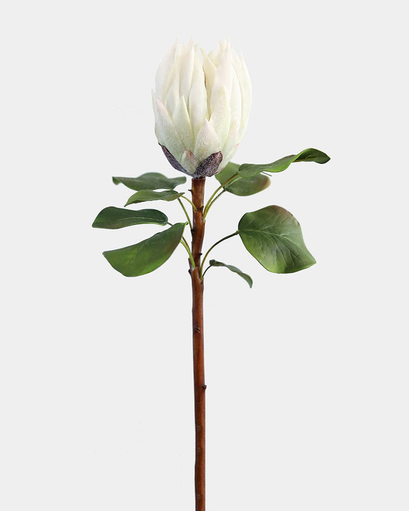 Cream White Artificial Protea Tropical Flowers