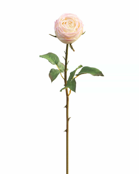 Artificial Real Touch Pink English Rose