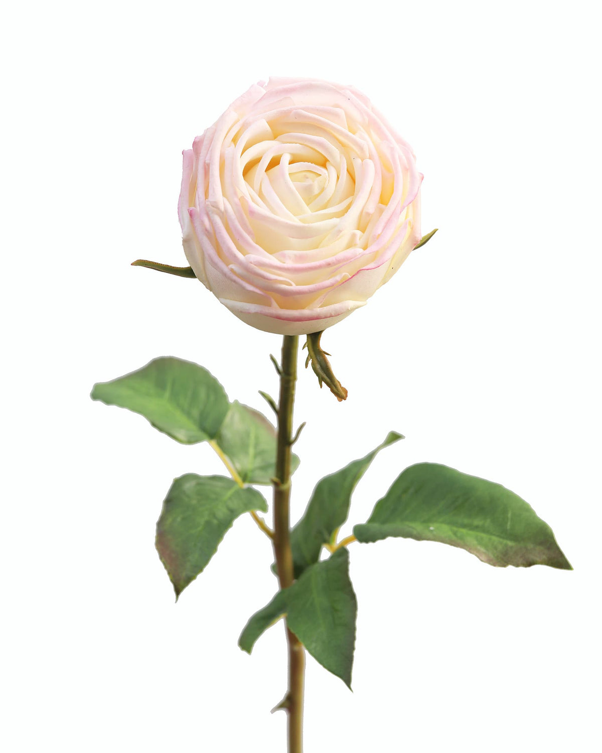 Artificial Real Touch Pink English Rose close up 