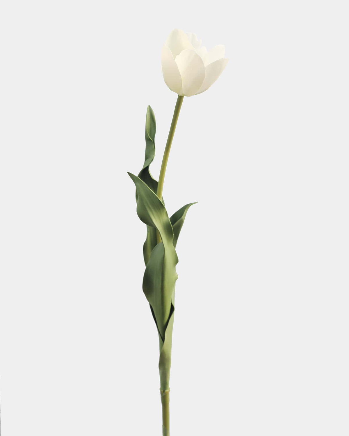 Artificial Cream White Tulip