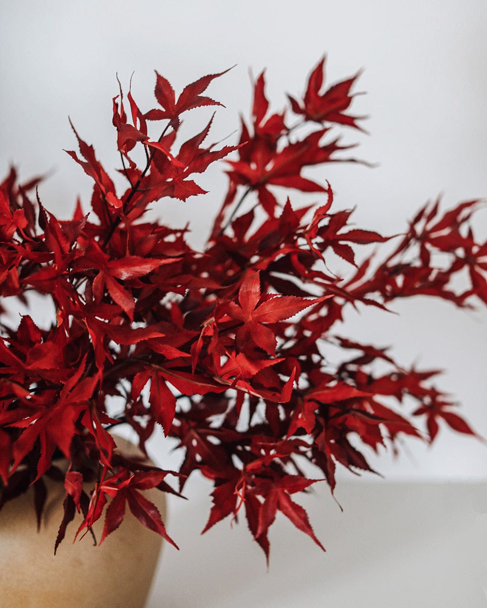 Artificial Maple Leaves Styled in Vase