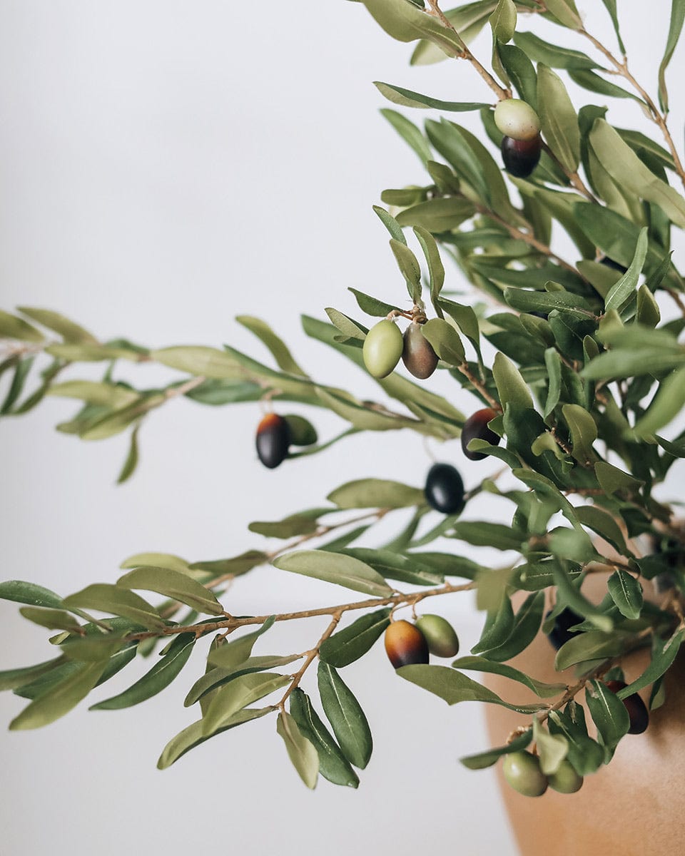 Close Up Image of Artificial Olives and Olive Leaves