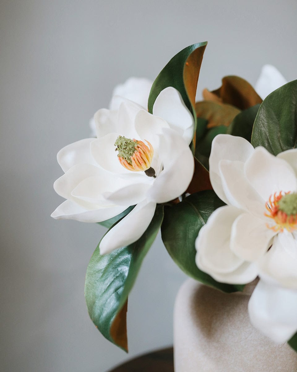 Close Up of Floral Centerpiece Magnolias