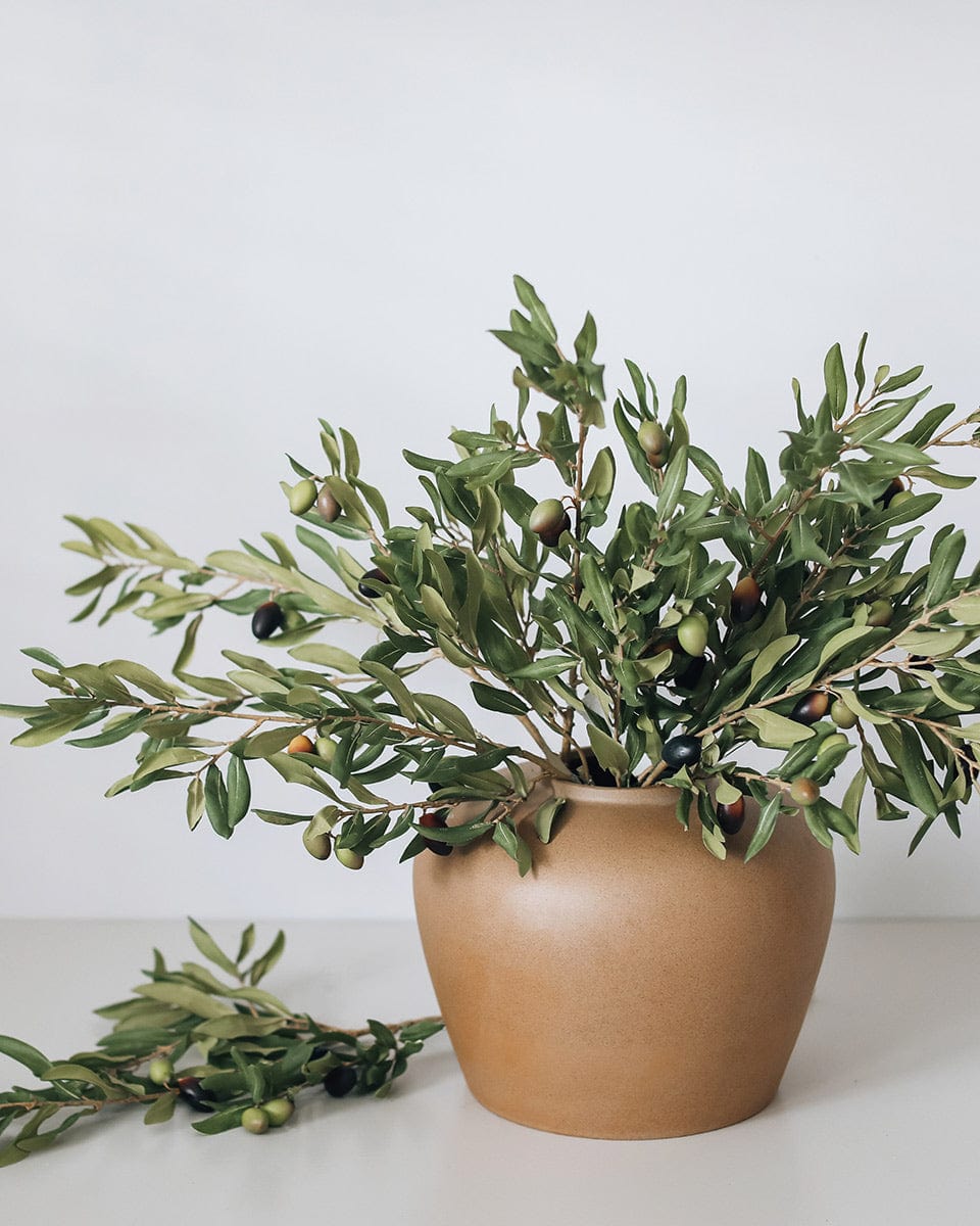 Prestige Botanicals Artificial Olive Branch Stems Styled in Vase
