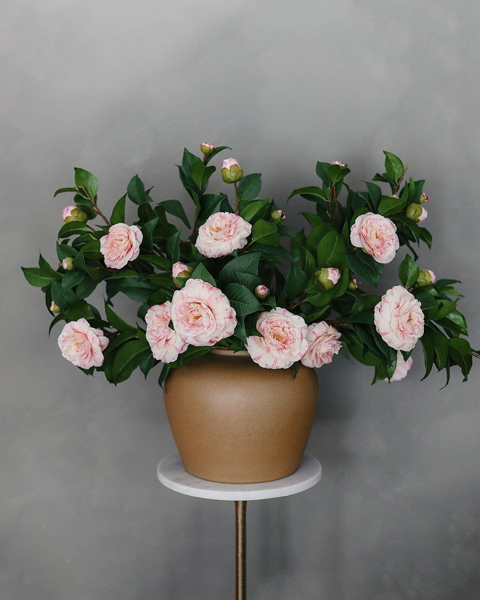 Silk Flower Arrangement with Pink Large Camellia Bushes