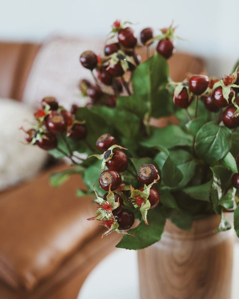 Rose Hip Berries in Burgundy Home Decor