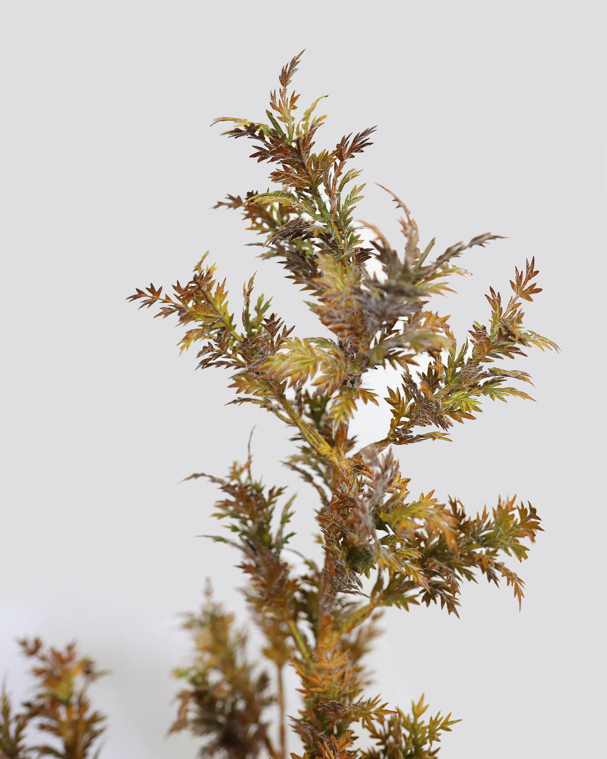 Rust Brown Rosemary Greenery
