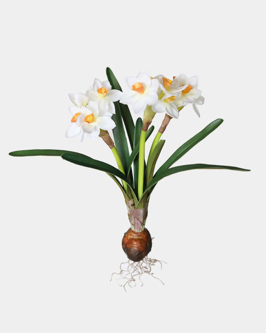 Faux White Narcissus Flowers