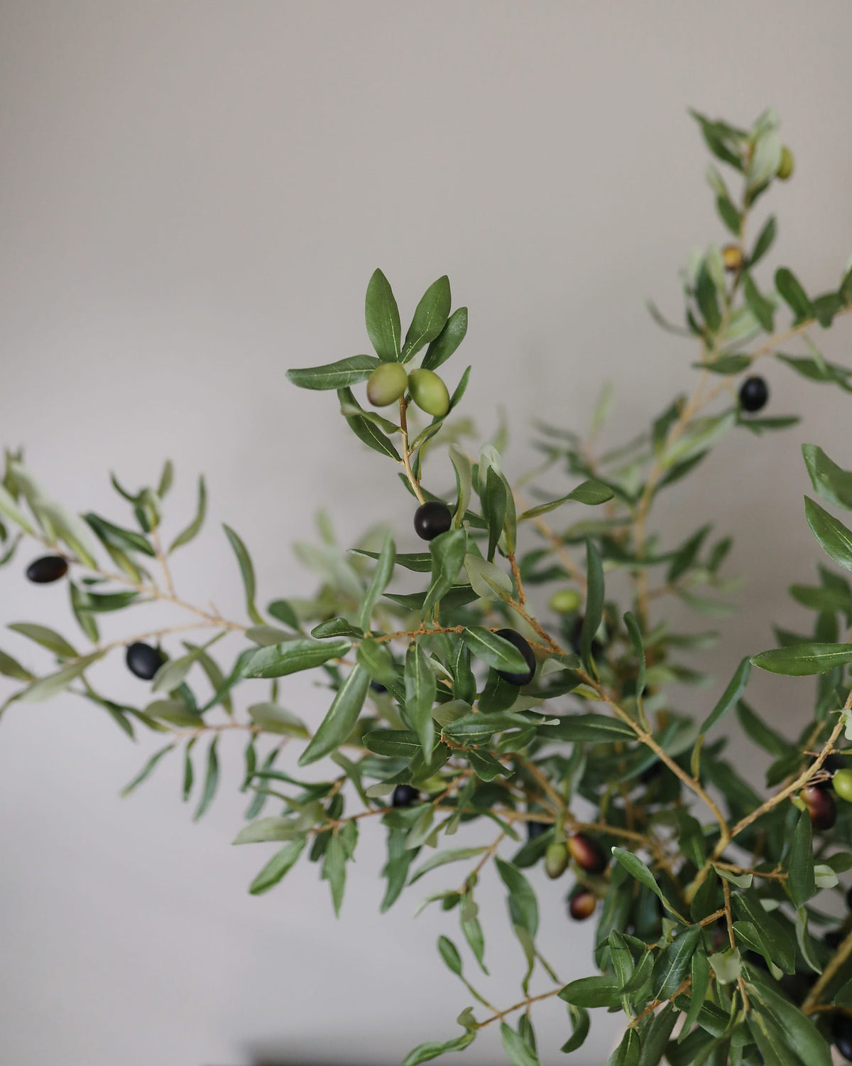 Large Faux Olive Branch close up 