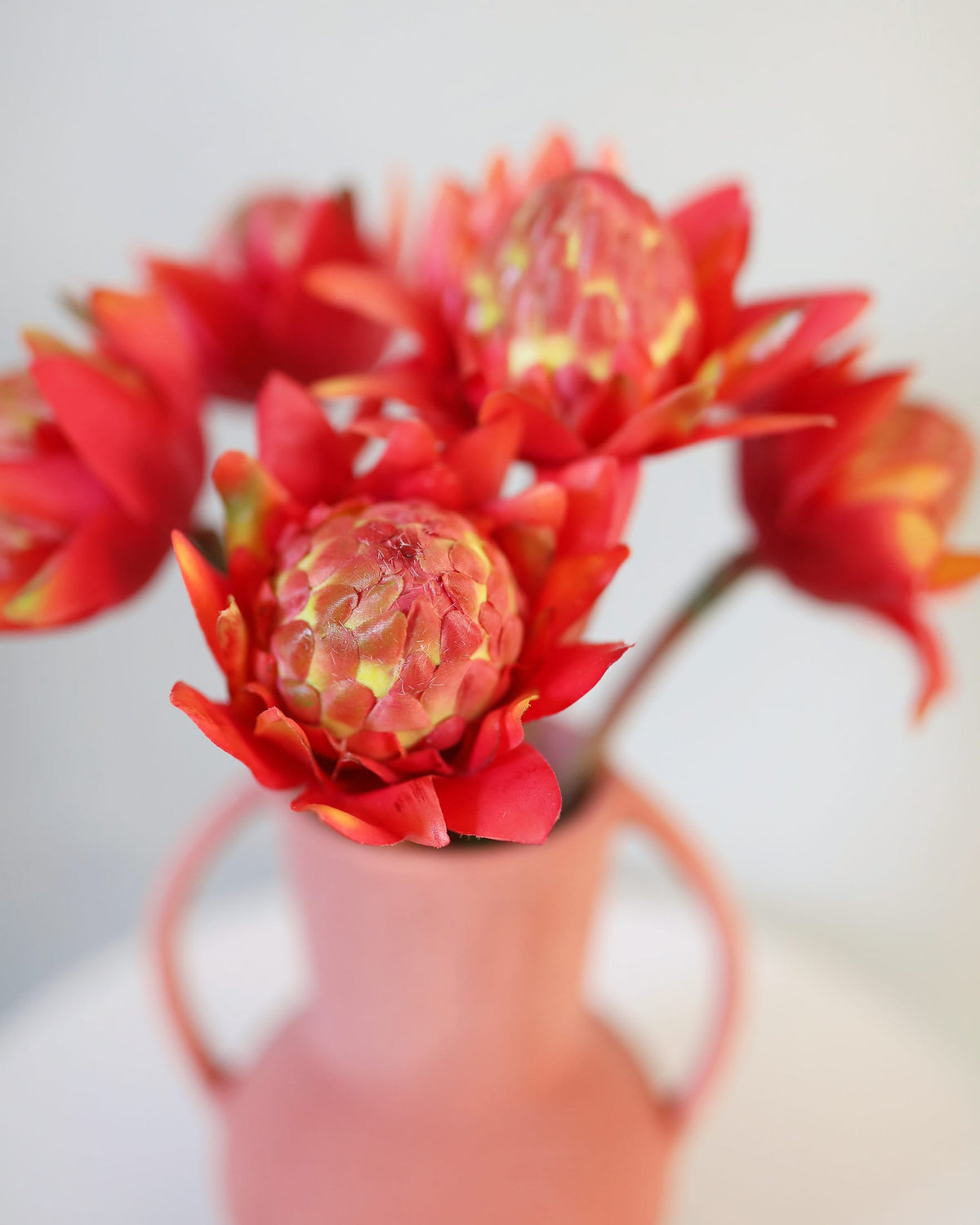 faux red waratahs in a vase
