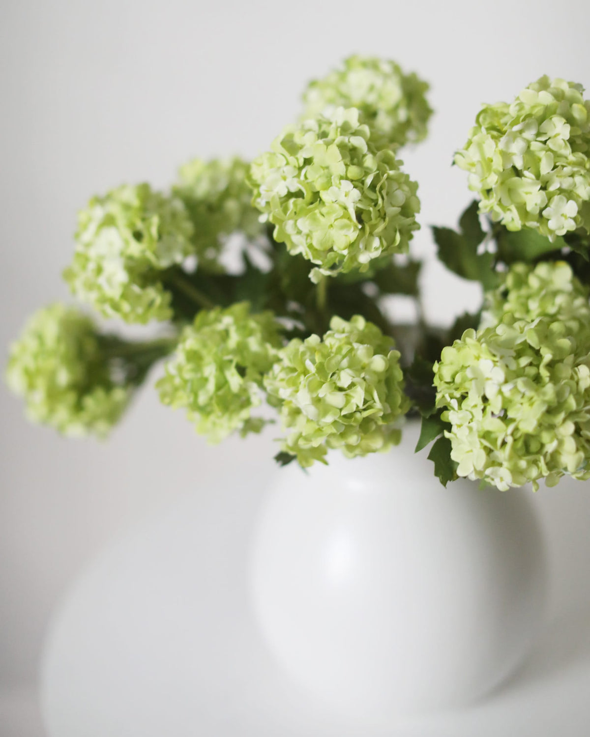 White vase with Faux Green Snowballs on a light gray background