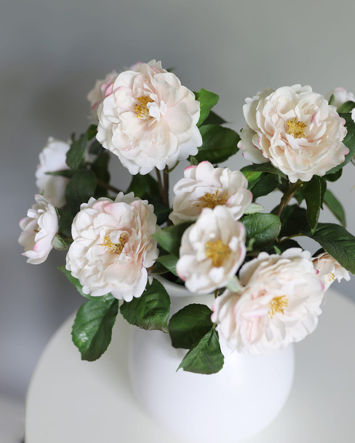 Close Up Image of Soft Touch Blush Pink English Roses in Vase