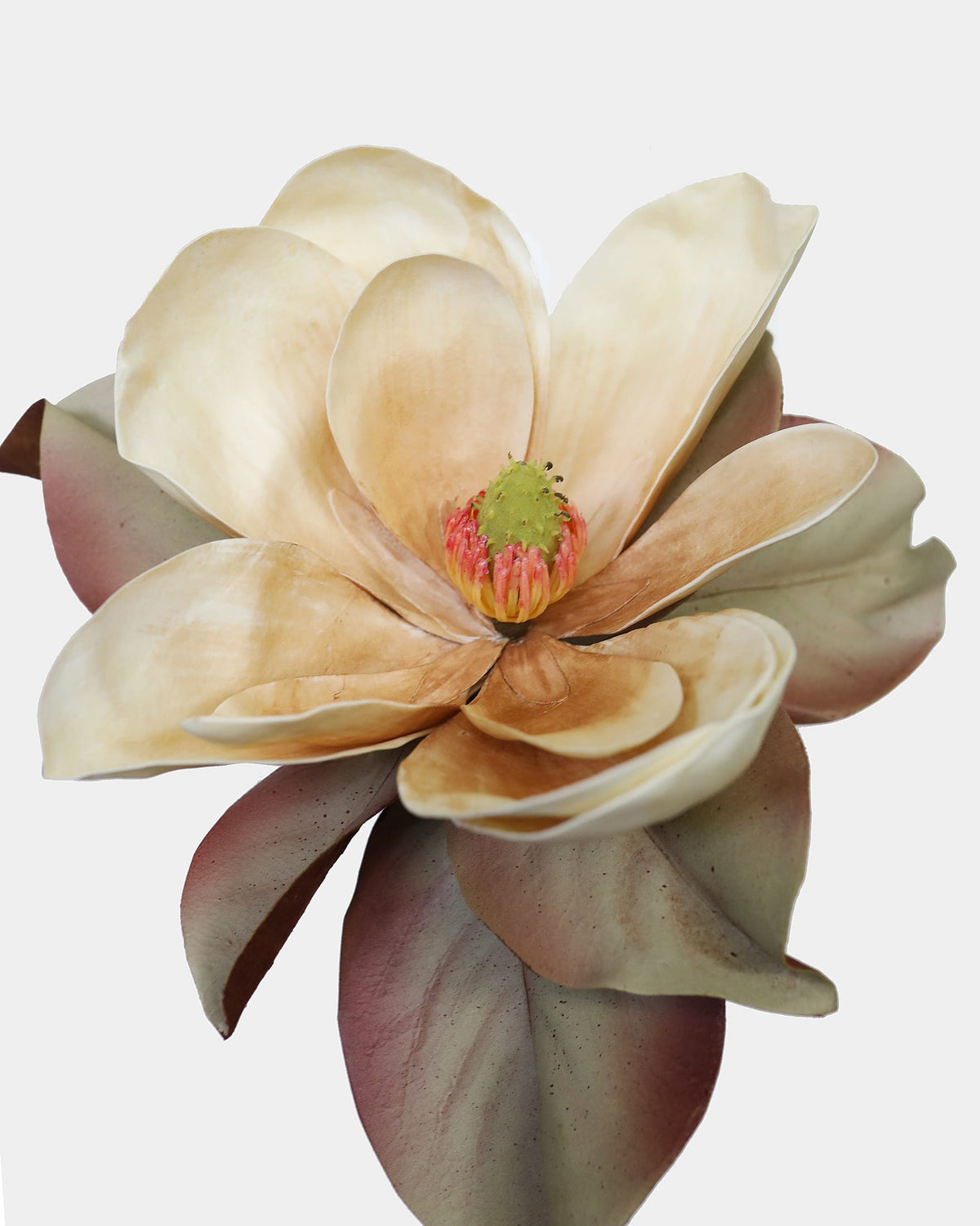 Fake Flower Open Magnolia in Light Brown