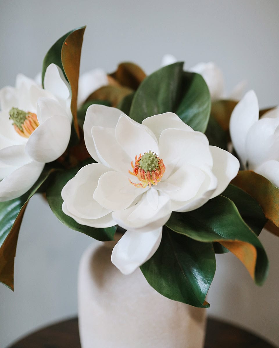 Large Magnolias Styled in Vase for Home Decorating