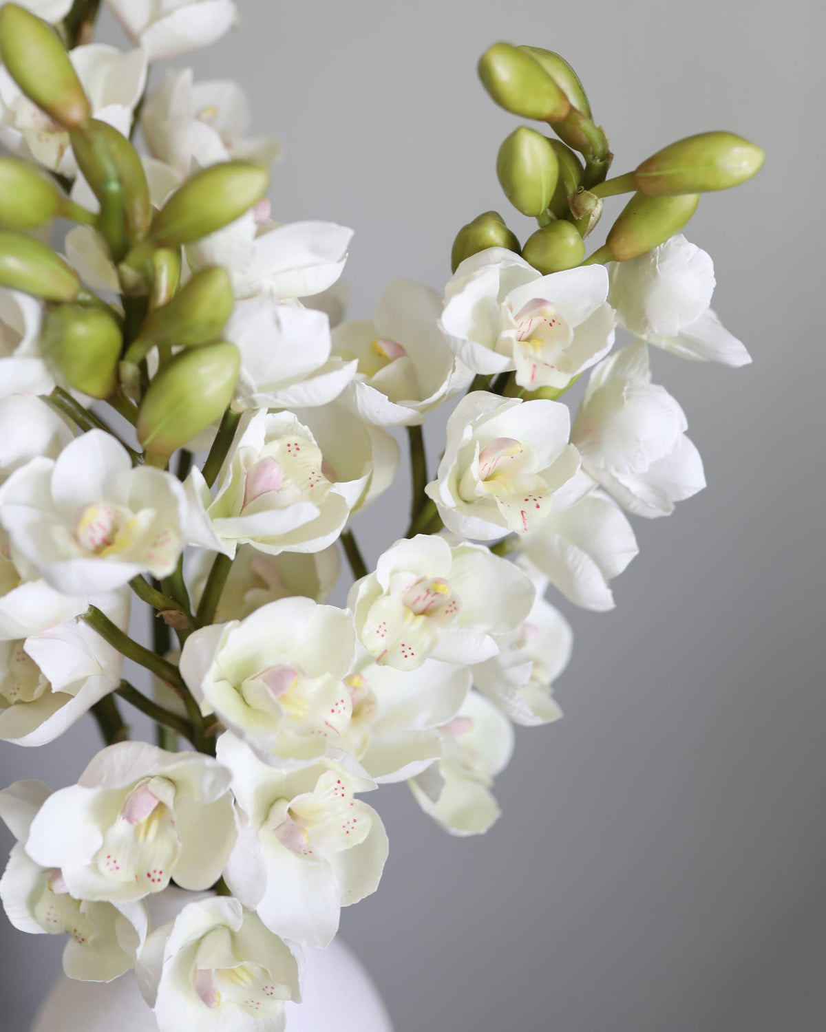 Faux Cream Cymbidium Orchid close up 