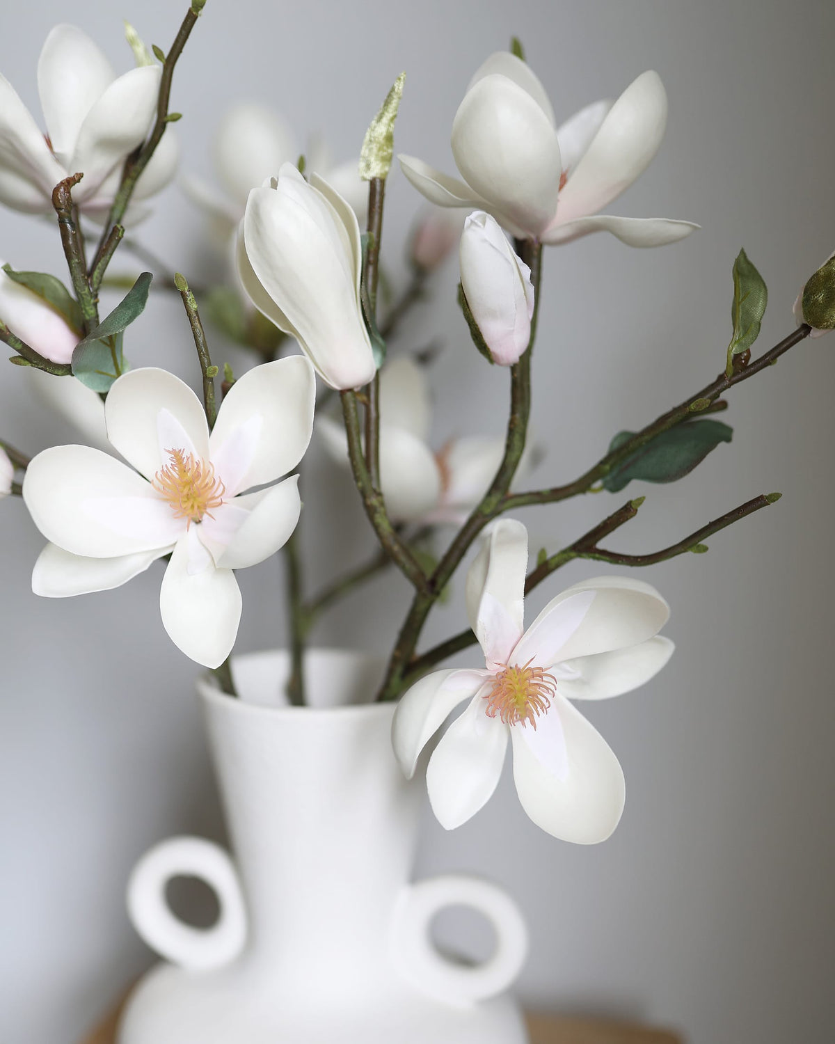 White aux magnolia in a white vase against a neutral background