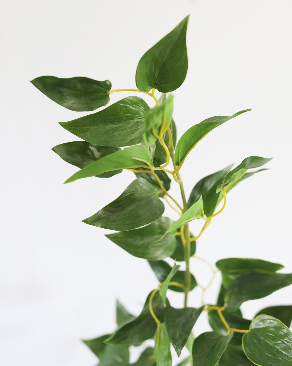 Artificial Smilax Leaves close up 