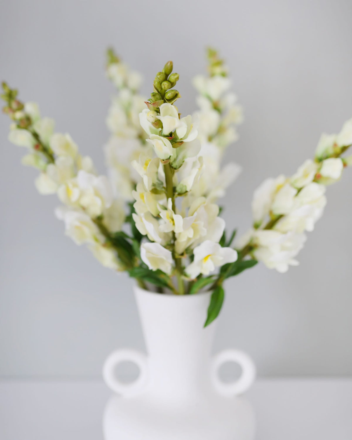 faux yellowish snapdragons close up 