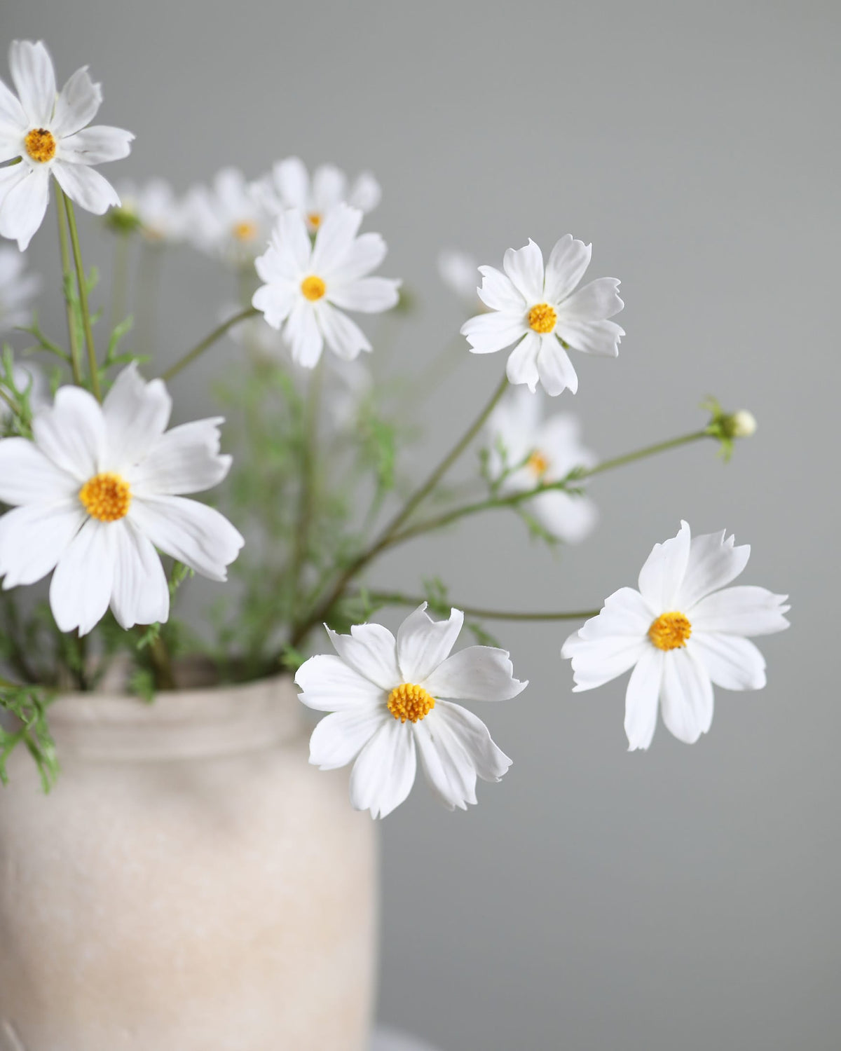 Artificial White Real Touch Cosmos close up 
