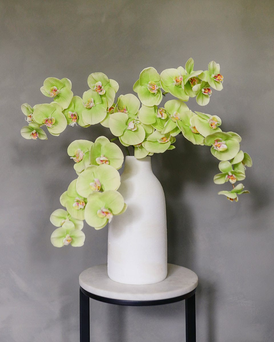 Bright Green Fake Orchid Phalaenopsis Arrangement