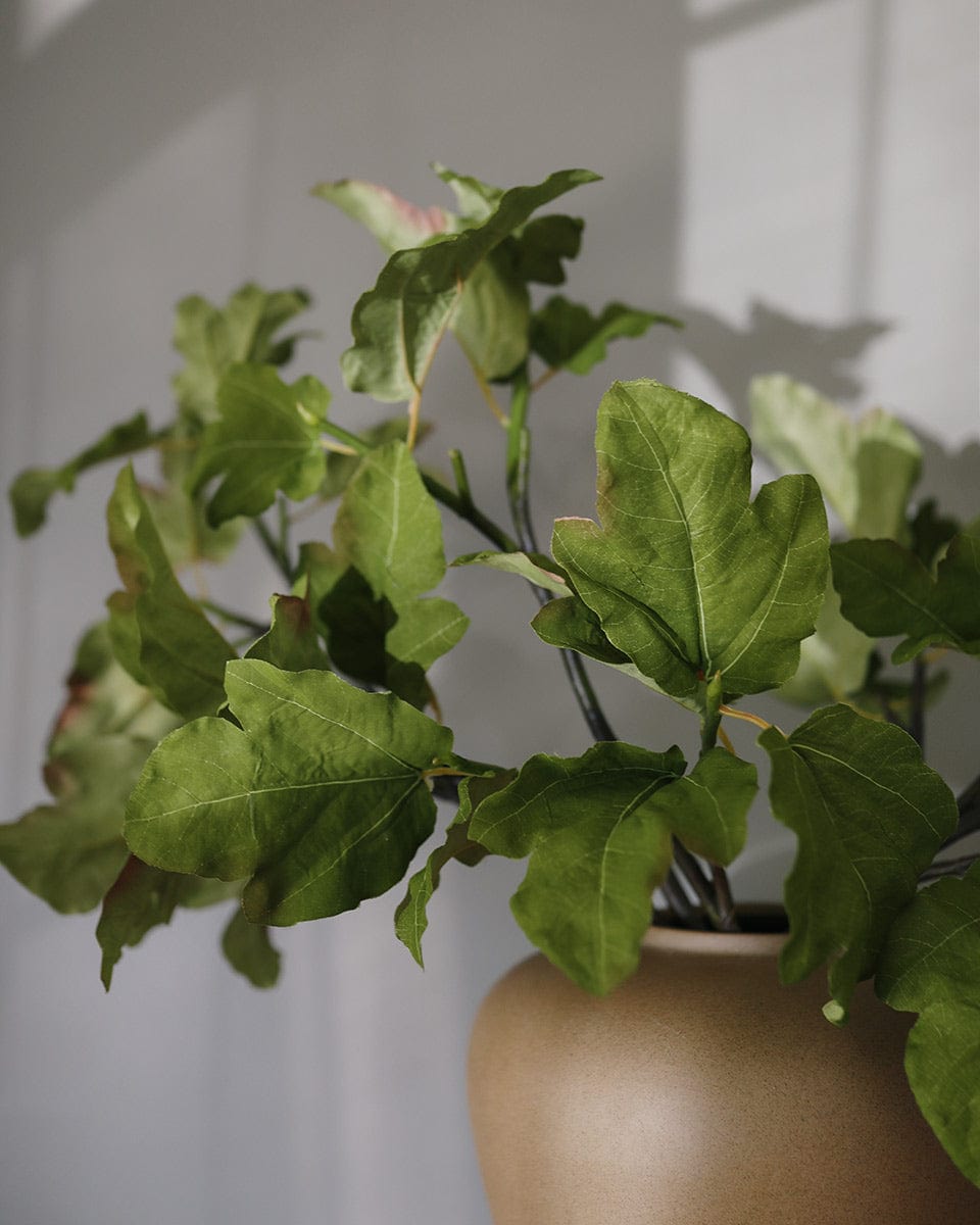 Close Up Details of Green Faux Fig Leaf Branches